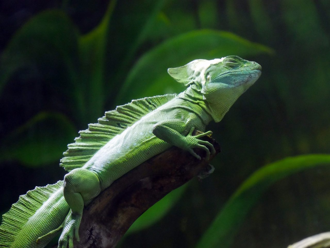 aquarium barcelone - juliesliberties