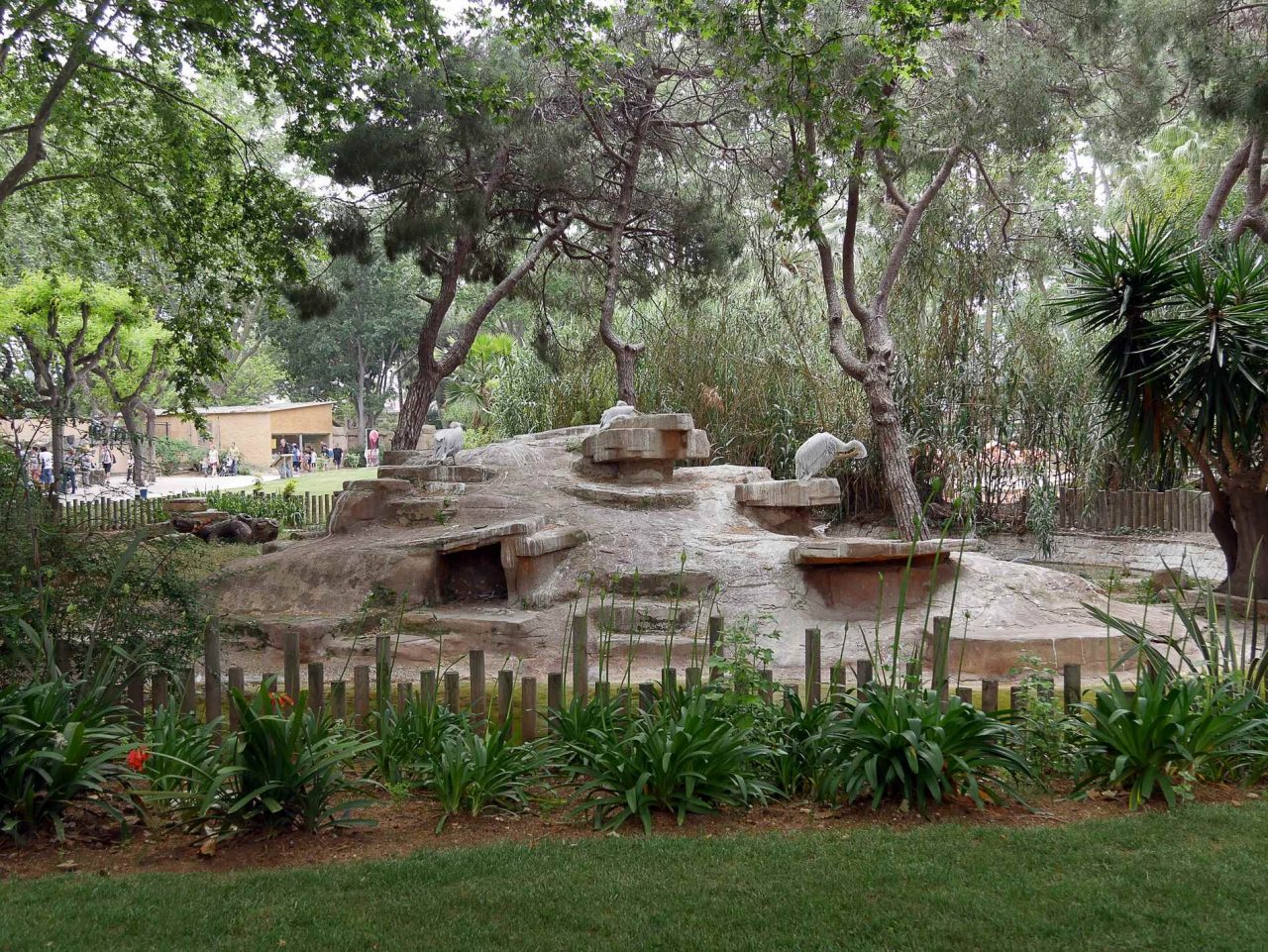 zoo barcelone oiseau - juliesliberties